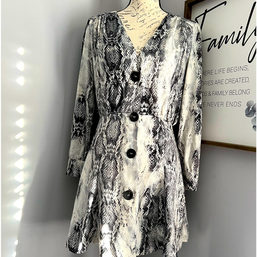 Zara snake print dress